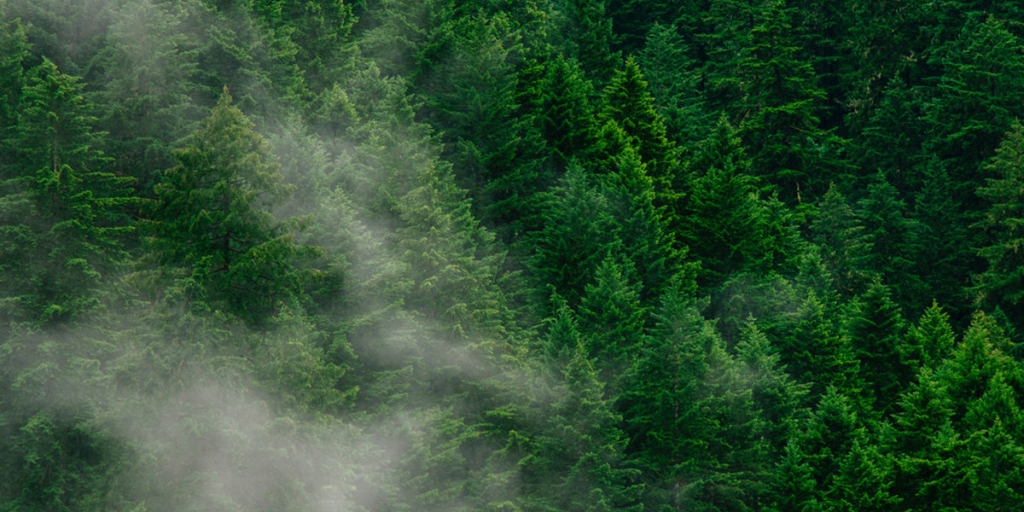 Jetcraft Meets Carbon Neutrality Goal